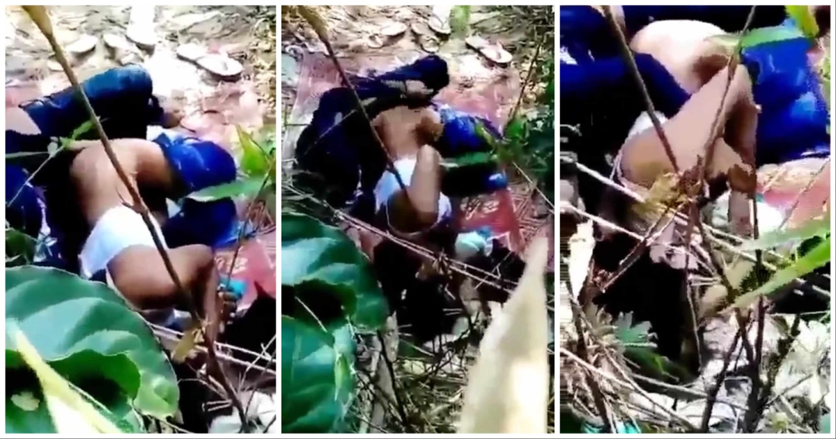 ချုံ လေးဘေးမှာ ကွေးကွေးလေးနဲ့  အငြိမ် ထမိန်လှန်ပြီး တီး